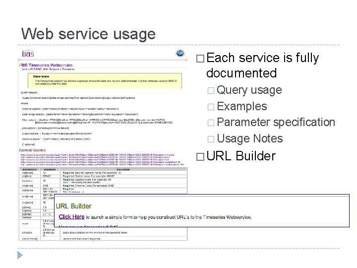 Web service usage � Each service is fully documented � Query usage � Examples
