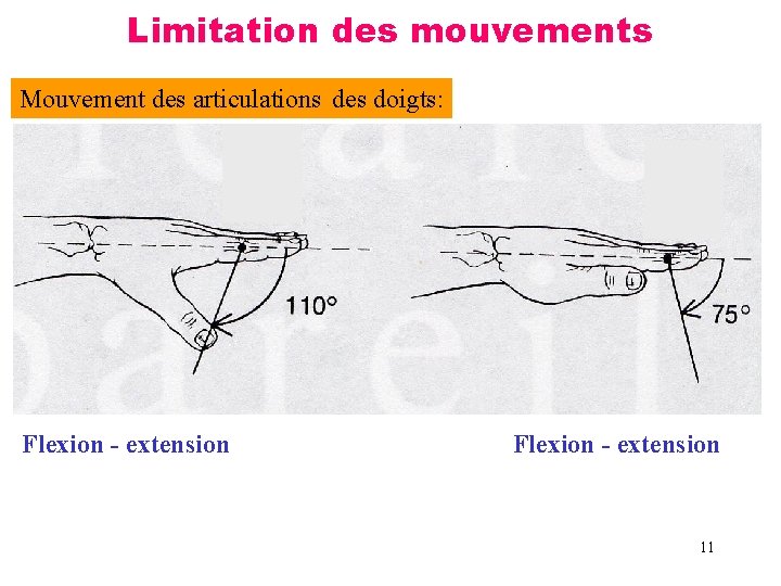 Limitation des mouvements Mouvement des articulations des doigts: Flexion - extension 11 