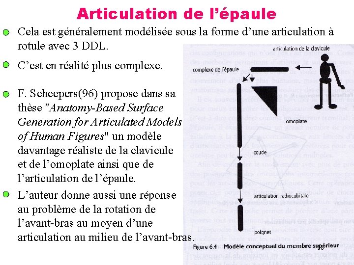 Articulation de l’épaule Cela est généralement modélisée sous la forme d’une articulation à rotule