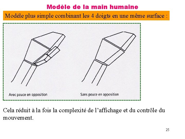 Modèle de la main humaine Modèle plus simple combinant les 4 doigts en une