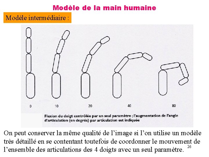 Modèle de la main humaine Modèle intermédiaire : On peut conserver la même qualité