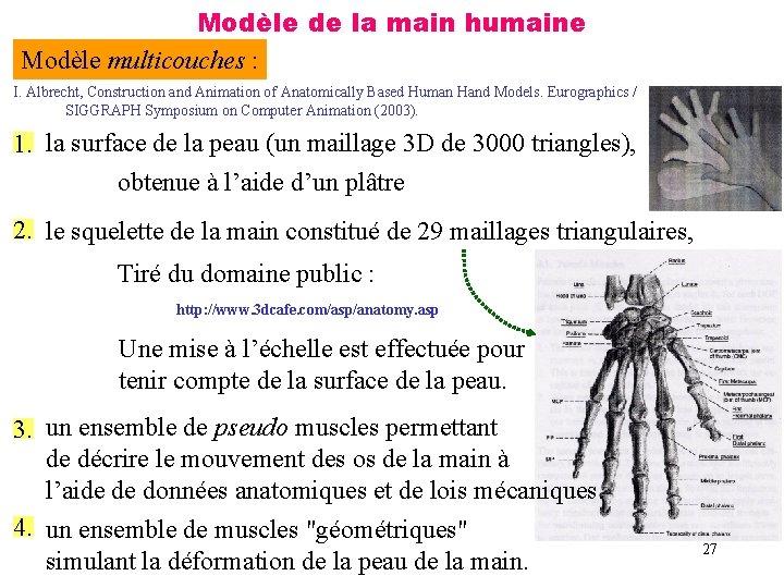 Modèle de la main humaine Modèle multicouches : I. Albrecht, Construction and Animation of