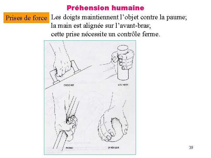 Préhension humaine Prises de force Les doigts maintiennent l’objet contre la paume; la main