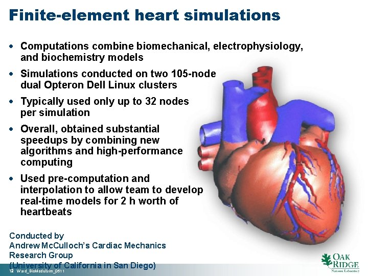 Finite-element heart simulations · Computations combine biomechanical, electrophysiology, and biochemistry models · Simulations conducted