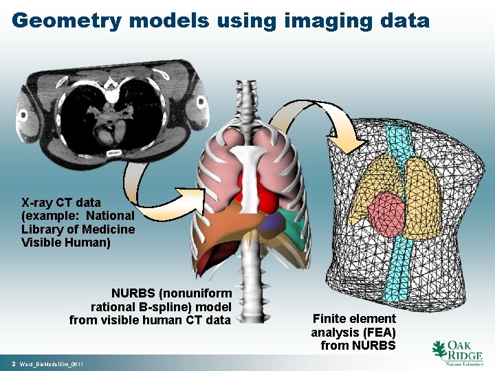 Geometry models using imaging data X-ray CT data (example: National Library of Medicine Visible