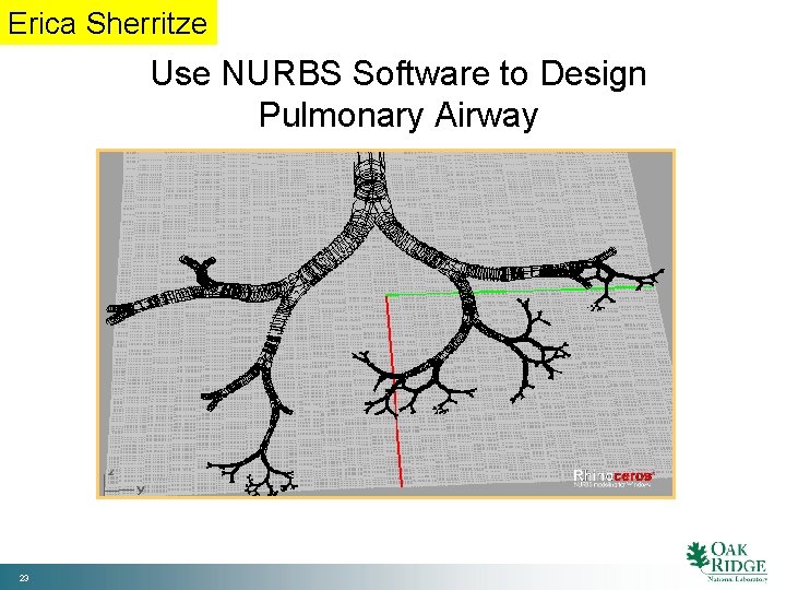 Erica Sherritze Use NURBS Software to Design Pulmonary Airway 23 