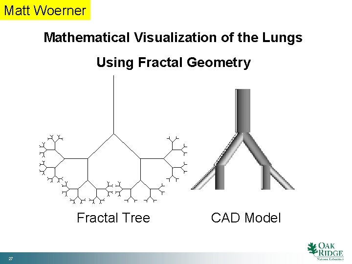 Matt Woerner Mathematical Visualization of the Lungs Using Fractal Geometry Fractal Tree 27 CAD