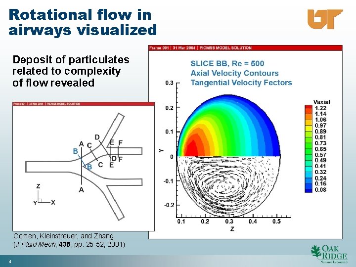 Rotational flow in airways visualized Deposit of particulates related to complexity of flow revealed