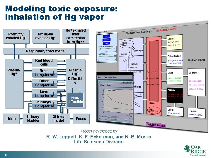 Modeling toxic exposure: Inhalation of Hg vapor Promptly exhaled Hg 0 exhaled after conversion