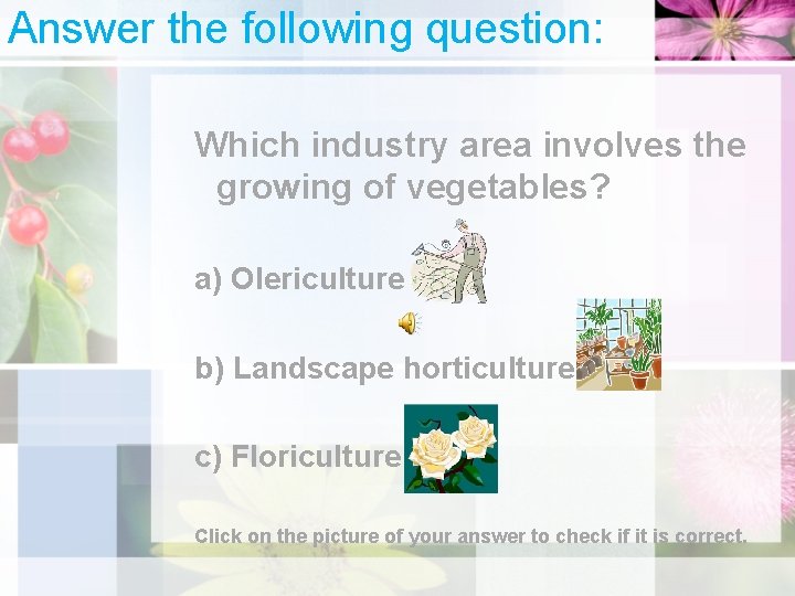 Answer the following question: Which industry area involves the growing of vegetables? a) Olericulture