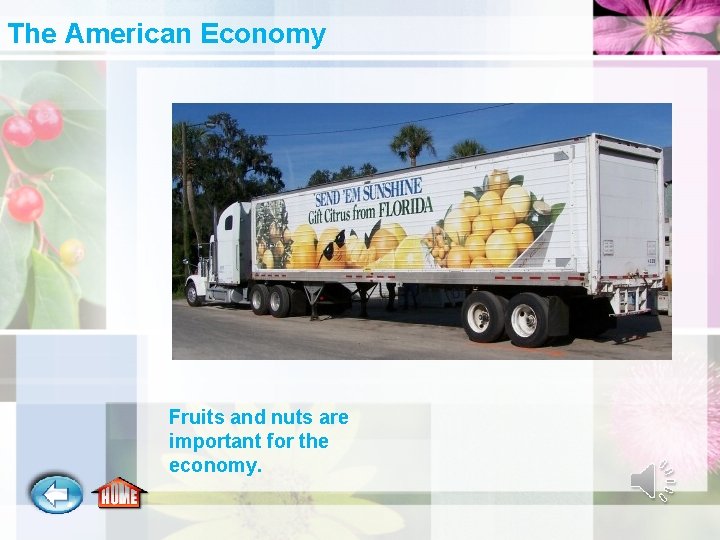The American Economy Fruits and nuts are important for the economy. 