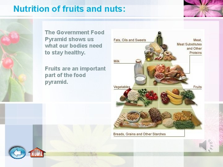 Nutrition of fruits and nuts: The Government Food Pyramid shows us what our bodies