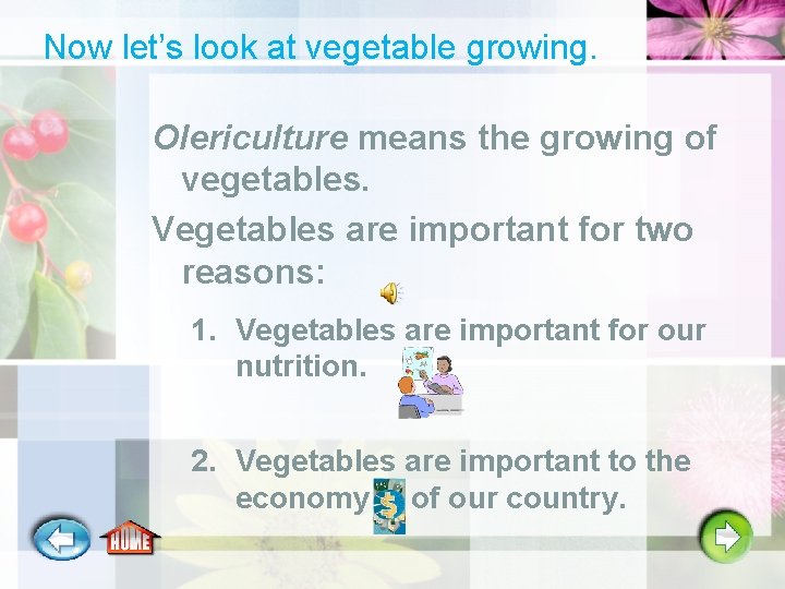 Now let’s look at vegetable growing. Olericulture means the growing of vegetables. Vegetables are