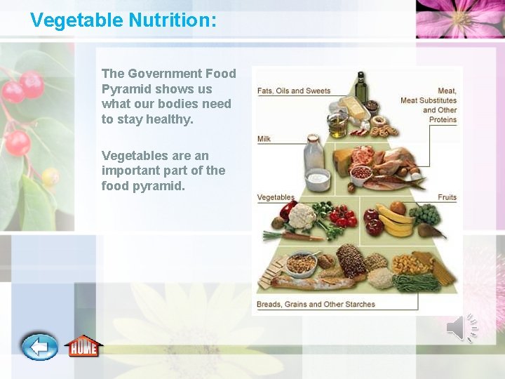 Vegetable Nutrition: The Government Food Pyramid shows us what our bodies need to stay