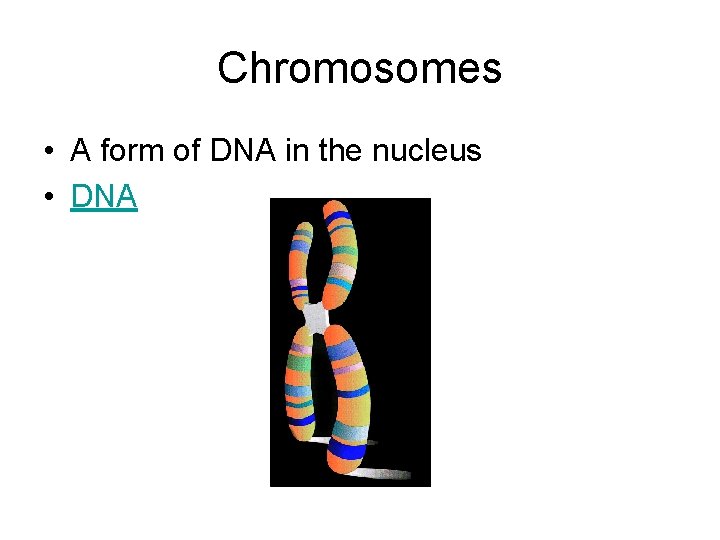 Chromosomes • A form of DNA in the nucleus • DNA Chromosomes • A form of DNA in the nucleus • DNA