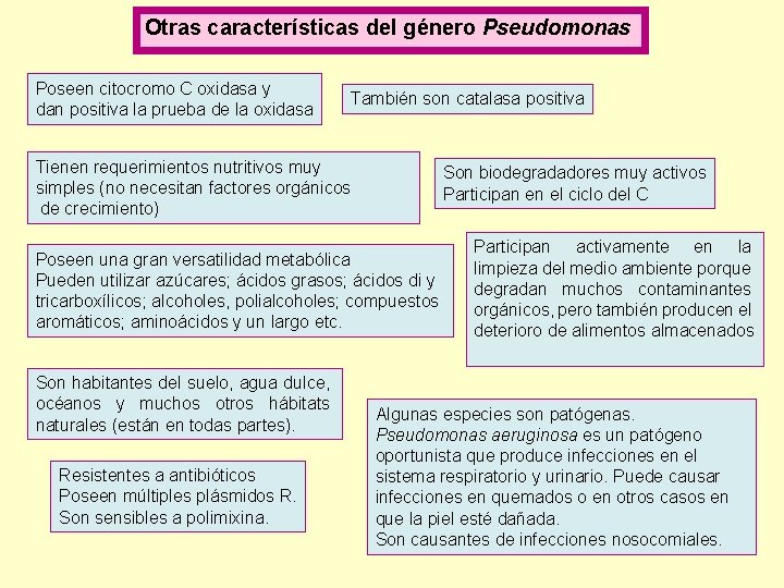 Otras características del género Pseudomonas Poseen citocromo C oxidasa y dan positiva la prueba