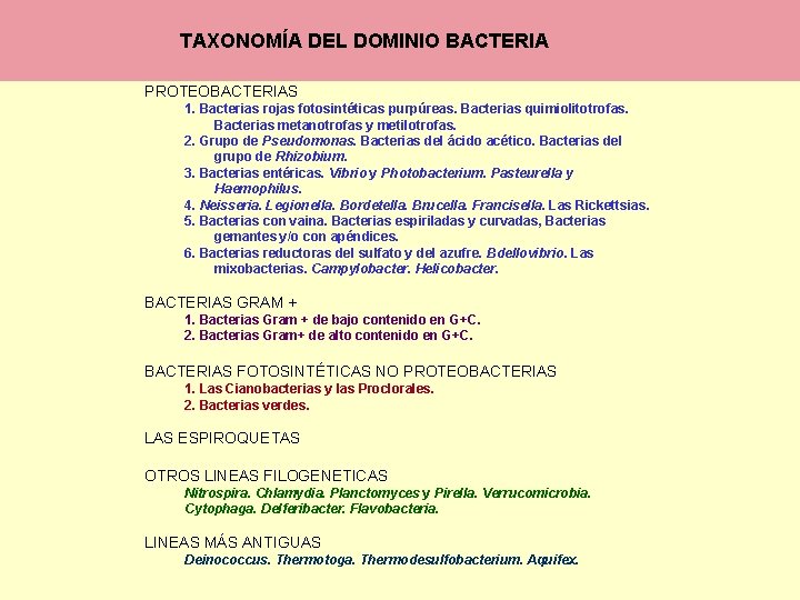 TAXONOMÍA DEL DOMINIO BACTERIA PROTEOBACTERIAS 1. Bacterias rojas fotosintéticas purpúreas. Bacterias quimiolitotrofas. Bacterias metanotrofas