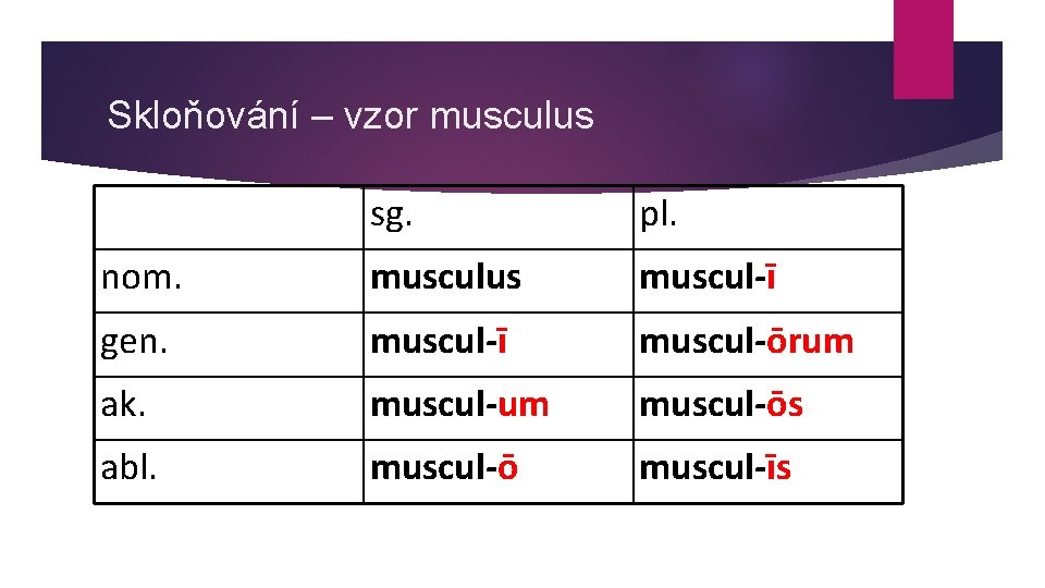 Skloňování – vzor musculus sg. pl. nom. musculus muscul-ī gen. muscul-ī muscul-ōrum ak. muscul-um