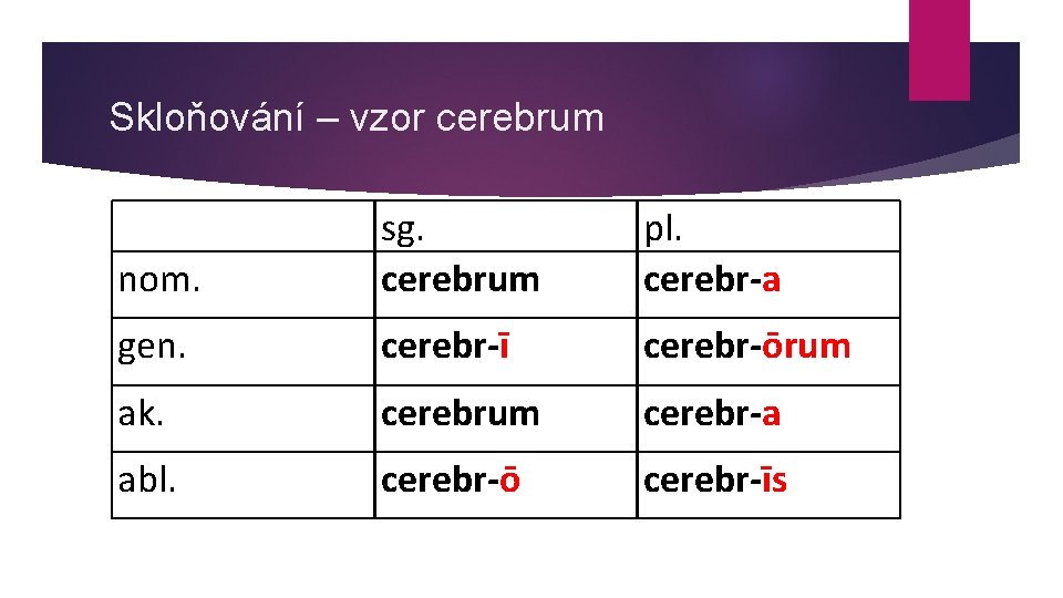 Skloňování – vzor cerebrum nom. sg. cerebrum pl. cerebr-a gen. cerebr-ī cerebr-ōrum ak. cerebrum