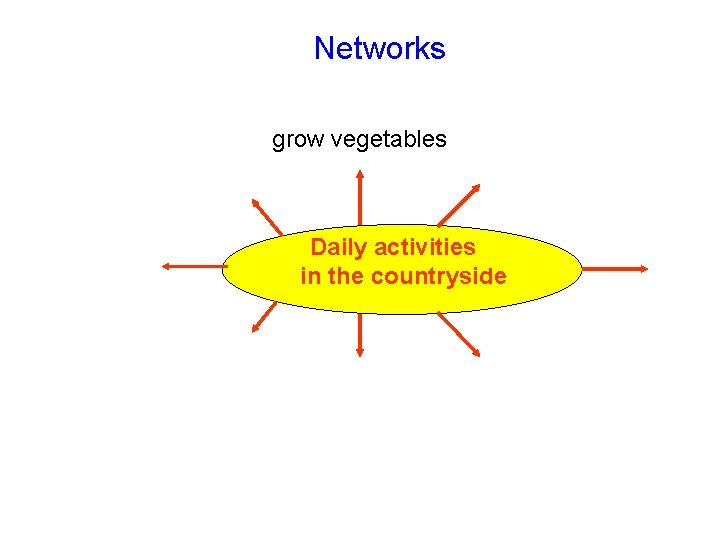 Networks grow vegetables Daily activities in the countryside 