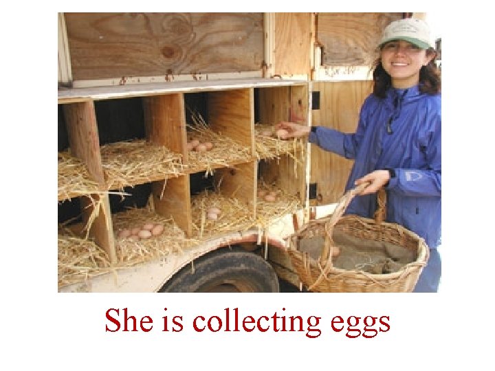 She is collecting eggs 