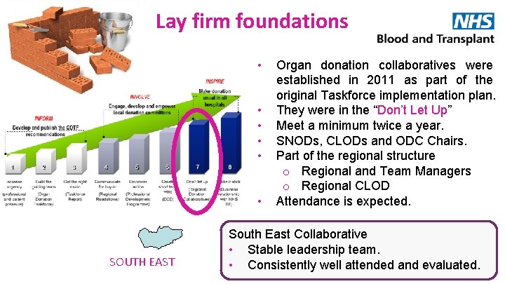 Lay firm foundations • • • SOUTH EAST Organ donation collaboratives were established in
