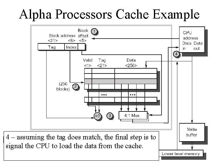 Alpha Processors Cache Example 2134 ––after the address cache reading index comes theselects tag