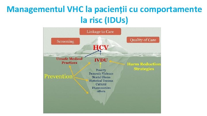 Managementul VHC la pacienții cu comportamente la risc (IDUs) 