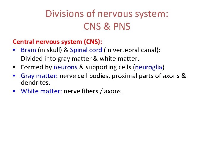 Divisions of nervous system: CNS & PNS Central nervous system (CNS): • Brain (in