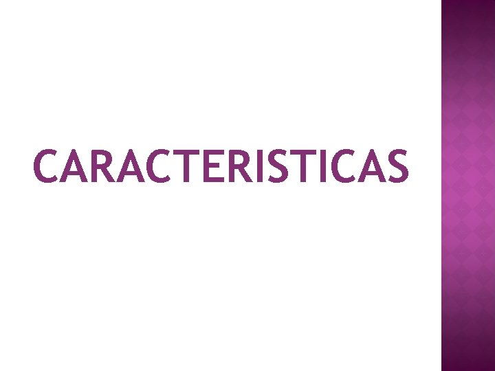 CARACTERISTICAS 