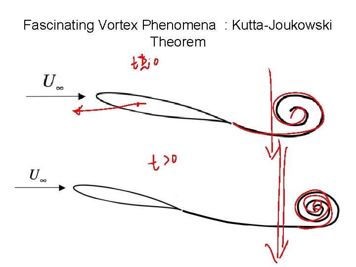 Fascinating Vortex Phenomena : Kutta-Joukowski Theorem 