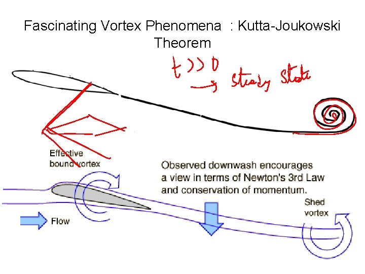 Fascinating Vortex Phenomena : Kutta-Joukowski Theorem 