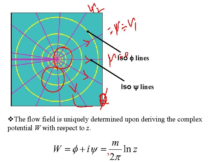 Iso f lines Iso y lines v. The flow field is uniquely determined upon