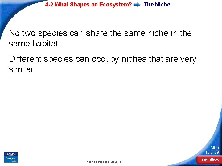 4 -2 What Shapes an Ecosystem? The Niche No two species can share the