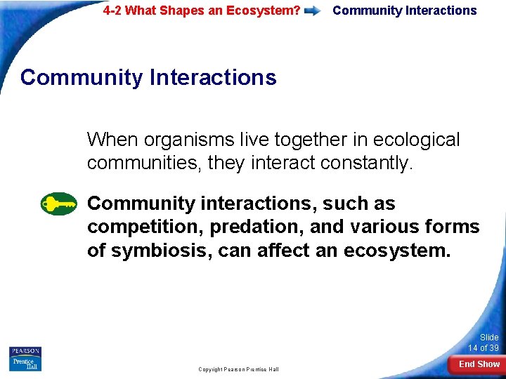 4 -2 What Shapes an Ecosystem? Community Interactions When organisms live together in ecological