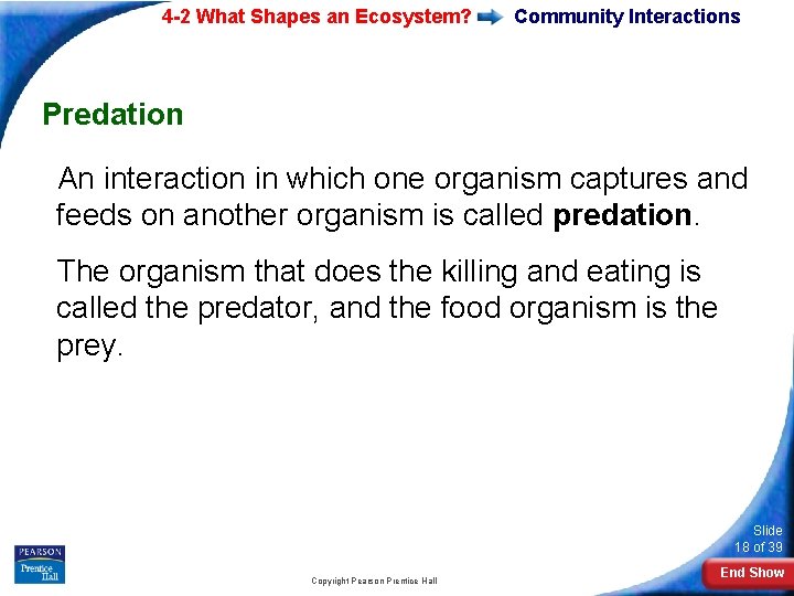 4 -2 What Shapes an Ecosystem? Community Interactions Predation An interaction in which one