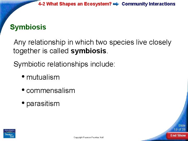 4 -2 What Shapes an Ecosystem? Community Interactions Symbiosis Any relationship in which two
