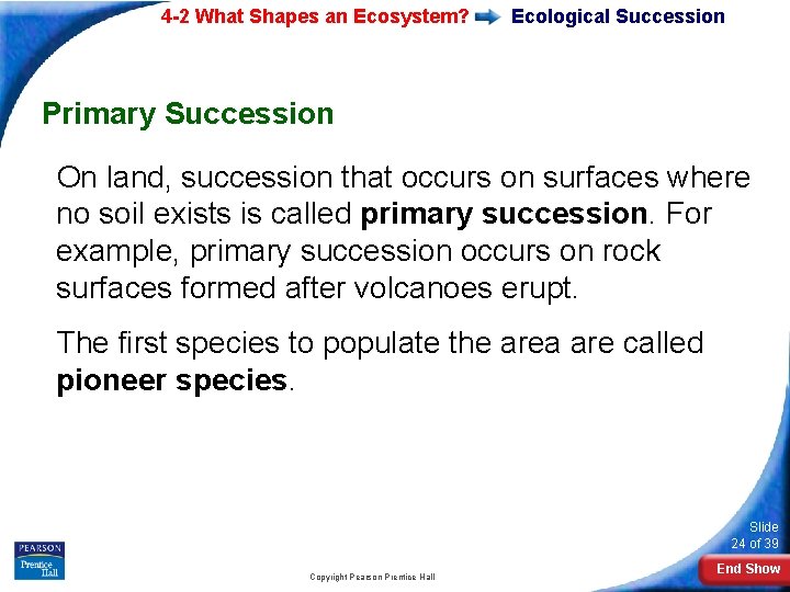 4 -2 What Shapes an Ecosystem? Ecological Succession Primary Succession On land, succession that