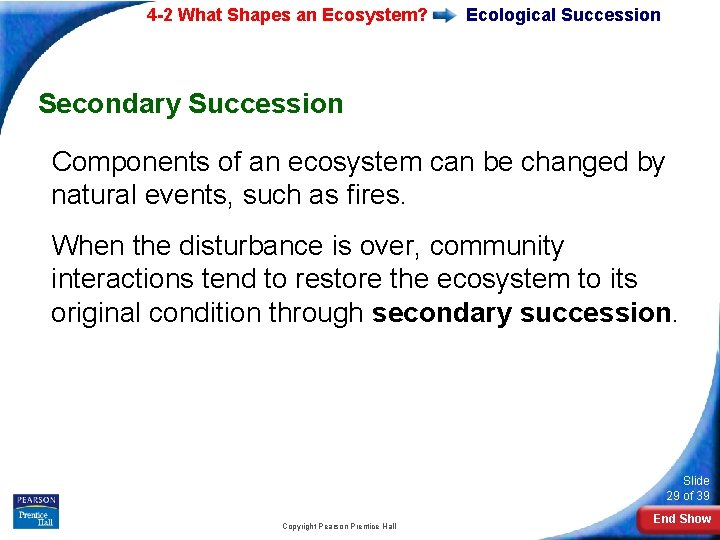 4 -2 What Shapes an Ecosystem? Ecological Succession Secondary Succession Components of an ecosystem