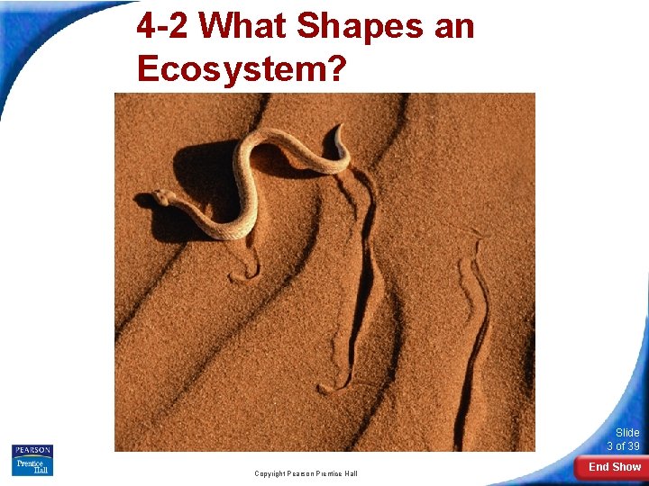 4 -2 What Shapes an Ecosystem? Slide 3 of 39 Copyright Pearson Prentice Hall