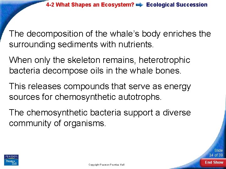 4 -2 What Shapes an Ecosystem? Ecological Succession The decomposition of the whale’s body