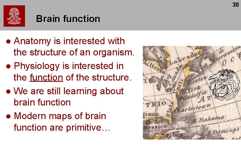 30 Brain function Anatomy is interested with the structure of an organism. l Physiology