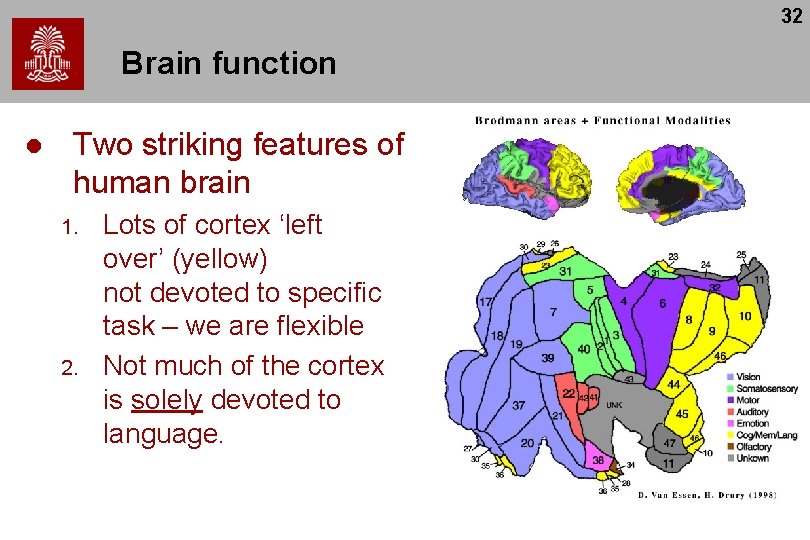 32 Brain function l Two striking features of human brain 1. 2. Lots of
