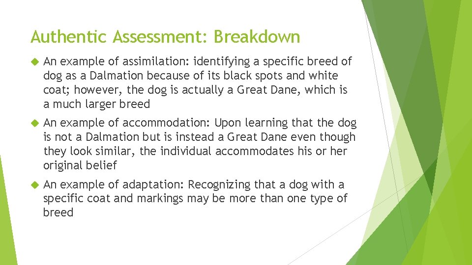 Authentic Assessment: Breakdown An example of assimilation: identifying a specific breed of dog as