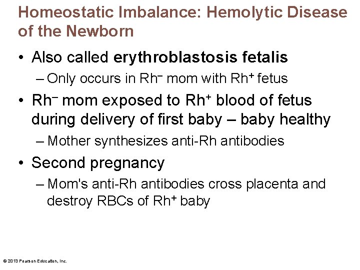 Homeostatic Imbalance: Hemolytic Disease of the Newborn • Also called erythroblastosis fetalis – Only