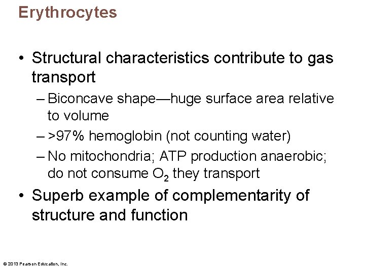 Erythrocytes • Structural characteristics contribute to gas transport – Biconcave shape—huge surface area relative