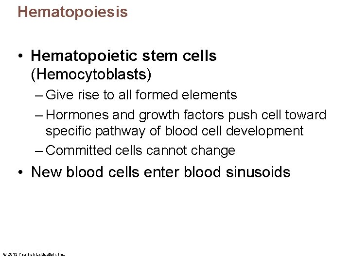 Hematopoiesis • Hematopoietic stem cells (Hemocytoblasts) – Give rise to all formed elements –