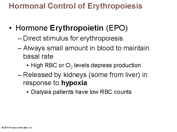 Hormonal Control of Erythropoiesis • Hormone Erythropoietin (EPO) – Direct stimulus for erythropoiesis –