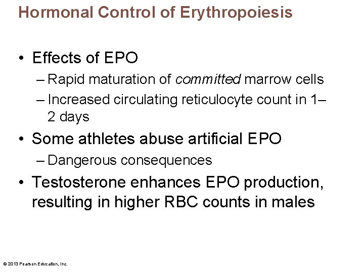 Hormonal Control of Erythropoiesis • Effects of EPO – Rapid maturation of committed marrow