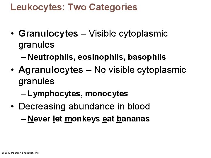 Leukocytes: Two Categories • Granulocytes – Visible cytoplasmic granules – Neutrophils, eosinophils, basophils •